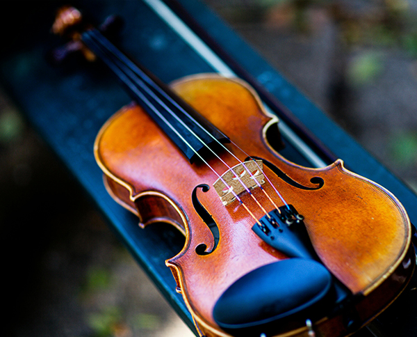 Taixing gaosijia musical instruments package co.,ltd
