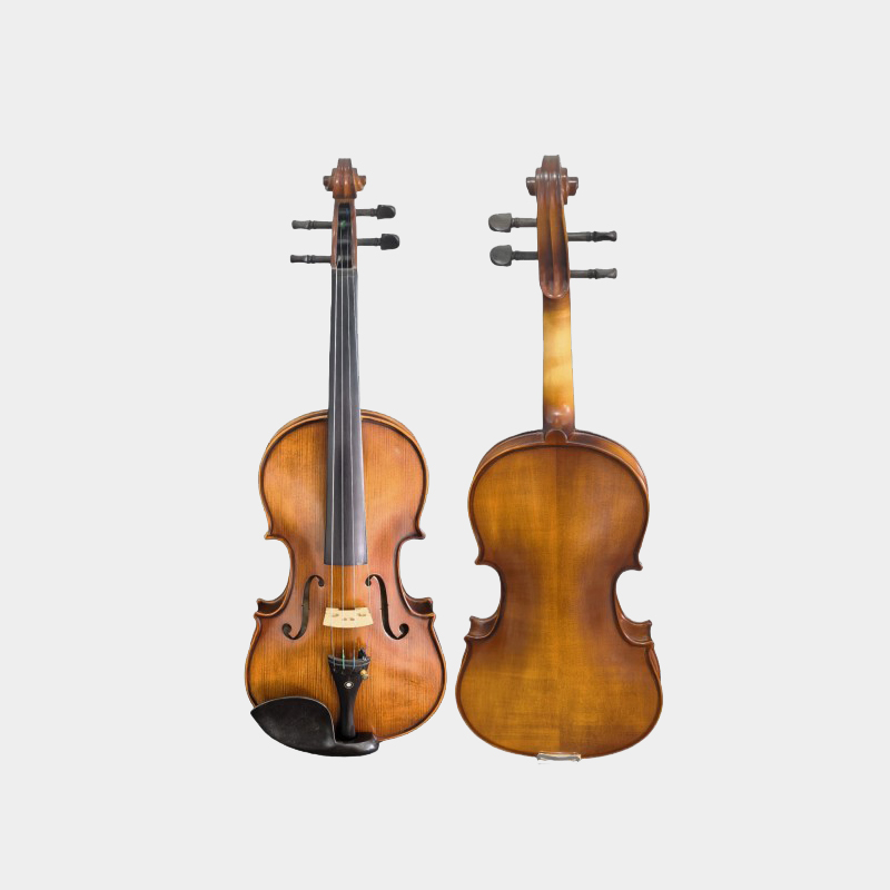 GV-005 Top Student violin